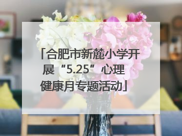 合肥市新麓小学开展“5.25”心理健康月专题活动