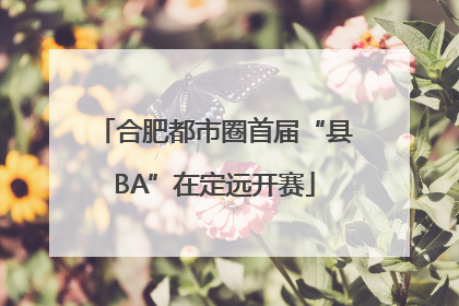 合肥都市圈首届“县BA”在定远开赛