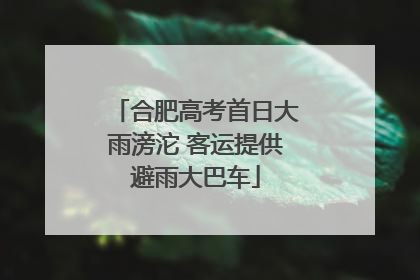 合肥高考首日大雨滂沱 客运提供避雨大巴车