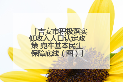 吉安市积极落实低收入人口认定政策 兜牢基本民生保障底线（图）