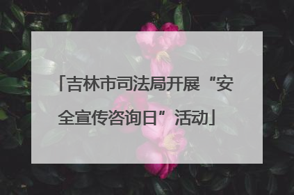 吉林市司法局开展“安全宣传咨询日”活动