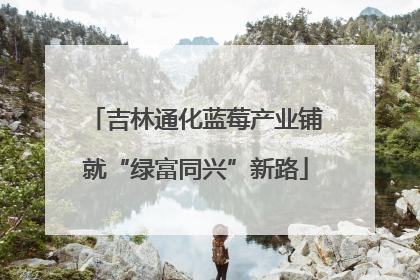吉林通化蓝莓产业铺就“绿富同兴”新路
