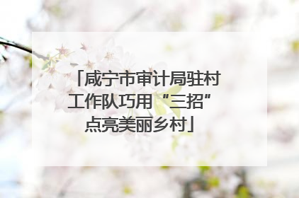 咸宁市审计局驻村工作队巧用“三招”点亮美丽乡村