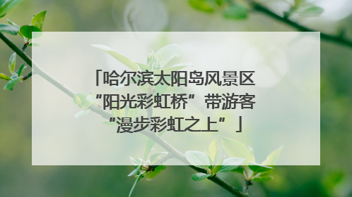哈尔滨太阳岛风景区“阳光彩虹桥”带游客“漫步彩虹之上”