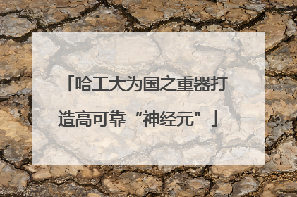 哈工大为国之重器打造高可靠“神经元”