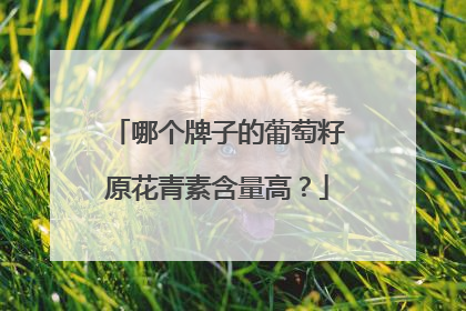 哪个牌子的葡萄籽原花青素含量高？