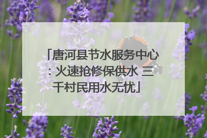 唐河县节水服务中心：火速抢修保供水 三千村民用水无忧
