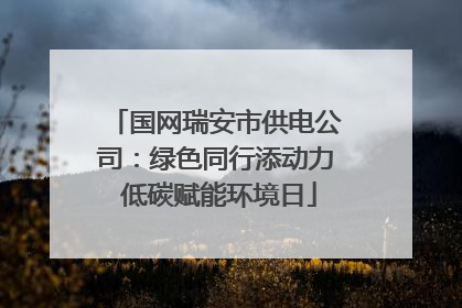 国网瑞安市供电公司：绿色同行添动力 低碳赋能环境日