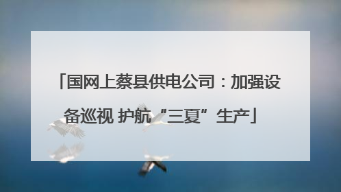国网上蔡县供电公司：加强设备巡视 护航“三夏”生产