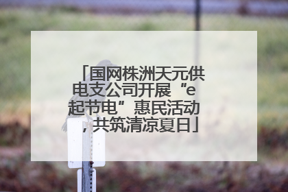 国网株洲天元供电支公司开展“e起节电”惠民活动，共筑清凉夏日