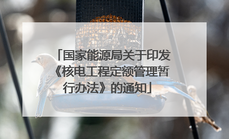 国家能源局关于印发《核电工程定额管理暂行办法》的通知