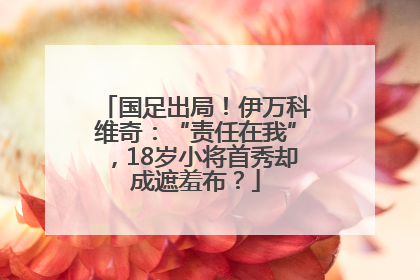国足出局！伊万科维奇：“责任在我”，18岁小将首秀却成遮羞布？