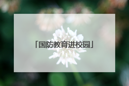 国防教育进校园