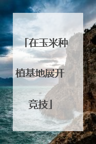 在玉米种植基地展开竞技