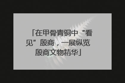 在甲骨青铜中“看见”殷商，一展纵览殷商文物精华