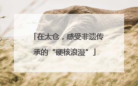 在太仓，感受非遗传承的“硬核浪漫”