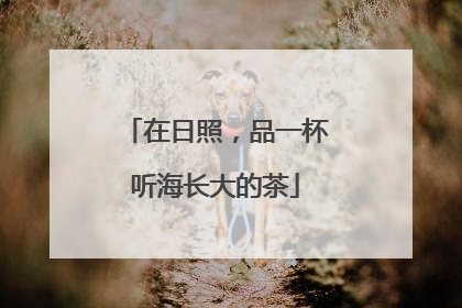 在日照，品一杯听海长大的茶