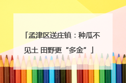 孟津区送庄镇：种瓜不见土 田野更“多金”