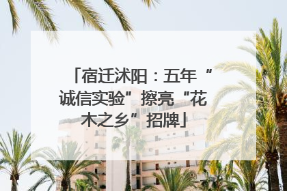 宿迁沭阳：五年“诚信实验”擦亮“花木之乡”招牌