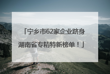 宁乡市62家企业跻身湖南省专精特新榜单！