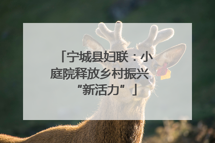 宁城县妇联：小庭院释放乡村振兴“新活力”