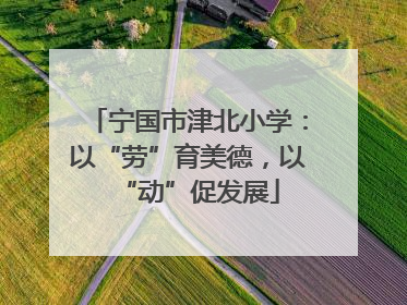 宁国市津北小学：以“劳”育美德，以“动”促发展