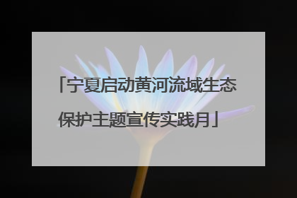 宁夏启动黄河流域生态保护主题宣传实践月