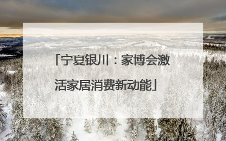 宁夏银川：家博会激活家居消费新动能