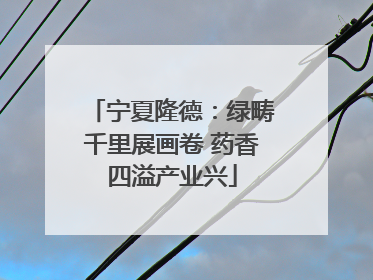 宁夏隆德：绿畴千里展画卷 药香四溢产业兴