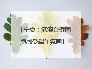 宁夏：港澳台侨同胞感受端午氛围