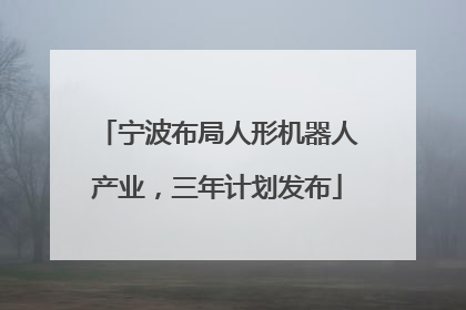宁波布局人形机器人产业，三年计划发布