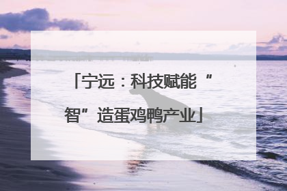 宁远：科技赋能“智”造蛋鸡鸭产业