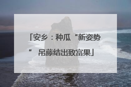 安乡：种瓜“新姿势” 吊藤结出致富果