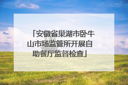 安徽省巢湖市卧牛山市场监管所开展自助餐厅监督检查