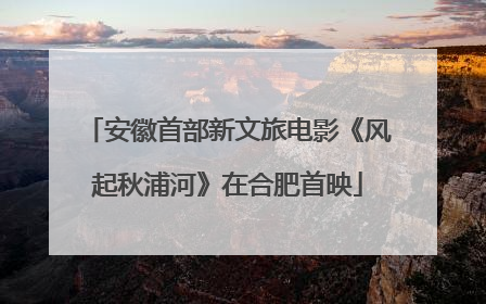 安徽首部新文旅电影《风起秋浦河》在合肥首映