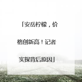 安岳柠檬，价格创新高！记者实探背后原因