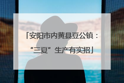 安阳市内黄县豆公镇：“三夏”生产有实招