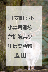 安阳：小小禁毒训练营护航青少年远离药物滥用