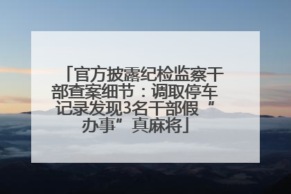 官方披露纪检监察干部查案细节：调取停车记录发现3名干部假“办事”真麻将