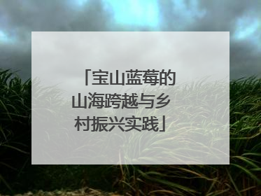 宝山蓝莓的山海跨越与乡村振兴实践