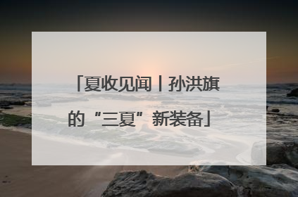 夏收见闻丨孙洪旗的“三夏”新装备