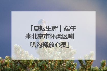 夏耘生辉｜端午来北京市怀柔区喇叭沟释放心灵