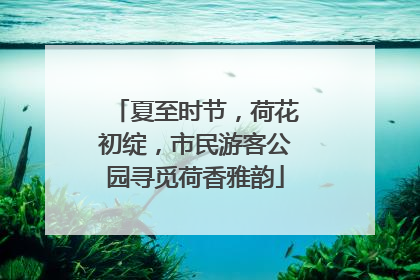 夏至时节，荷花初绽，市民游客公园寻觅荷香雅韵