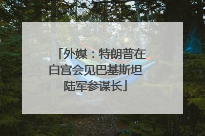 外媒：特朗普在白宫会见巴基斯坦陆军参谋长