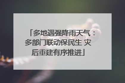 多地遇强降雨天气：多部门联动保民生 灾后重建有序推进