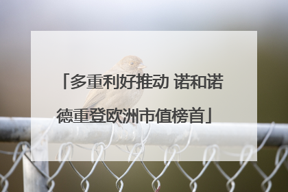 多重利好推动 诺和诺德重登欧洲市值榜首