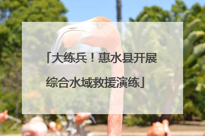 大练兵！惠水县开展综合水域救援演练