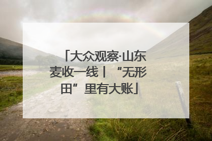 大众观察·山东麦收一线丨“无形田”里有大账