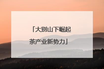 大别山下崛起茶产业新势力