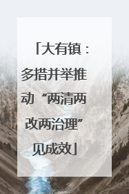 大有镇：多措并举推动“两清两改两治理”见成效